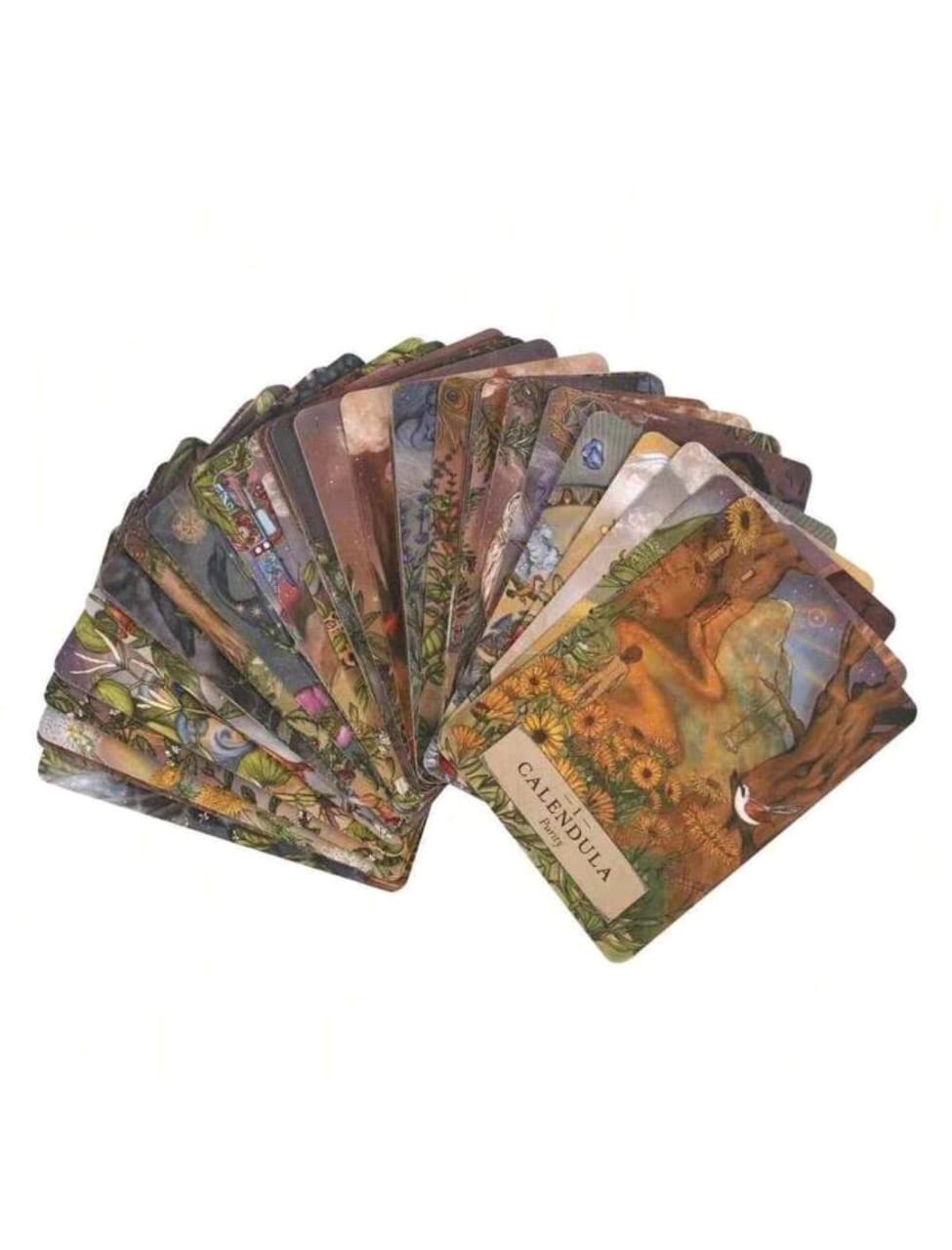 The Herbal Astrology Oracle