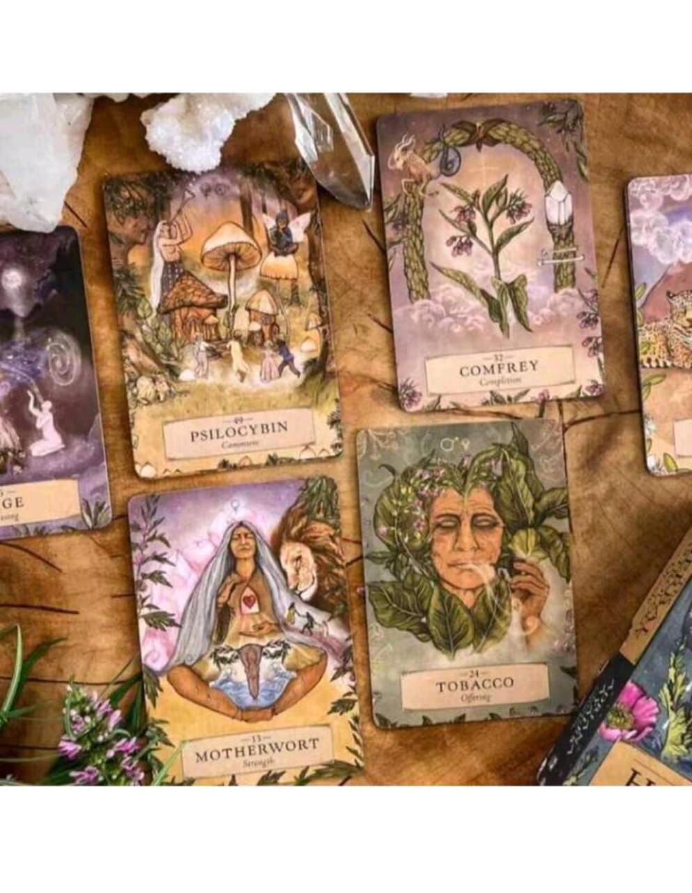 The Herbal Astrology Oracle